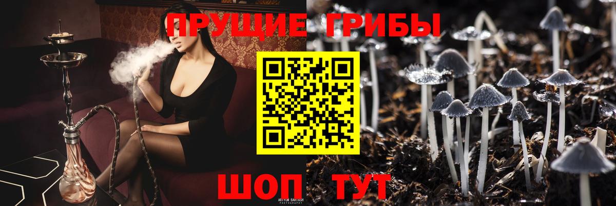 Галлюциногенные грибы MAGIC MUSHROOMS  Вход с VPN  Пушкино 