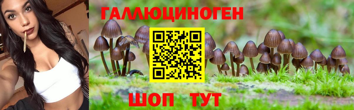 Псилоцибиновые грибы GOLDEN TEACHER Пушкино