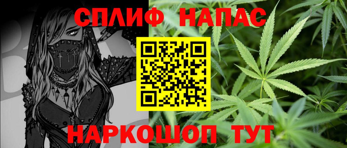 Пушкино  Канабис план  Шишки марихуана сатива  Вход с VPN 